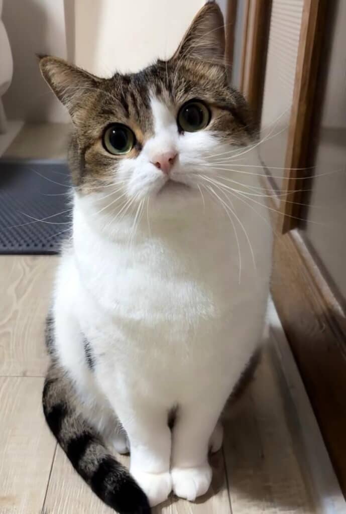 魅力が増してる！