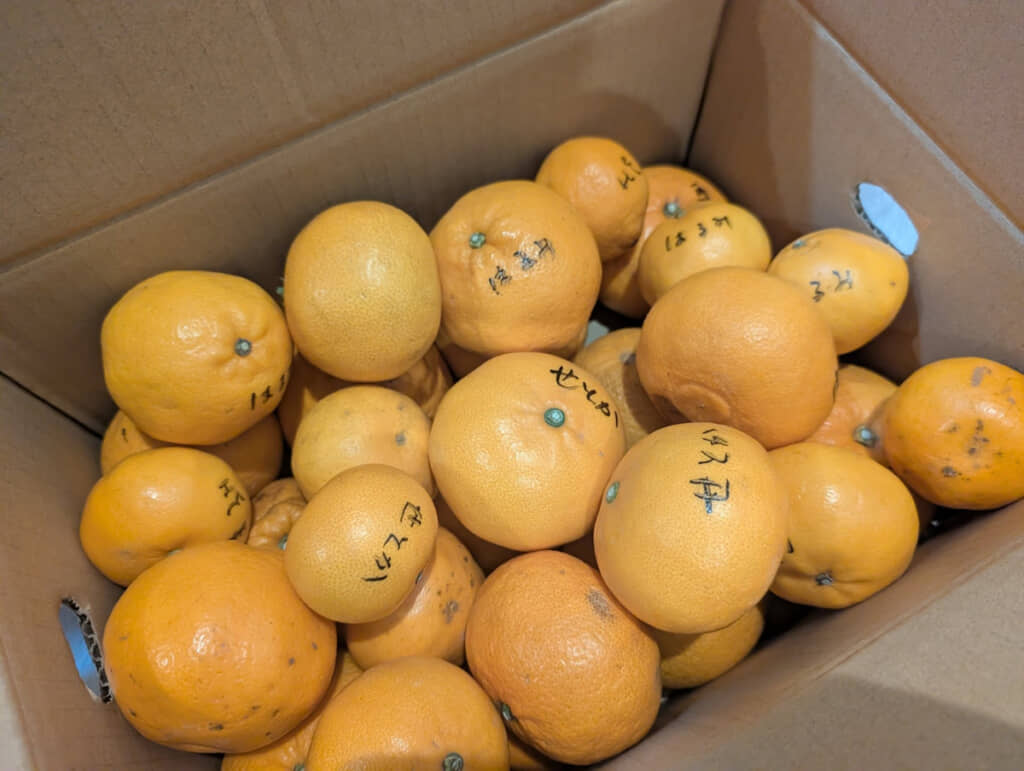 1つ1つにお母さんの気遣いがあってなおありがたい……