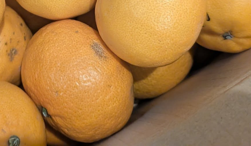 実家からの荷物に果物がぎっしり。ありがたいと思っていたら……