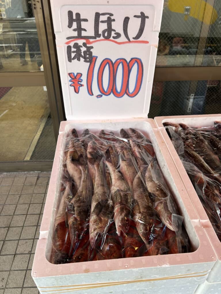 1箱1000円の生ホッケ