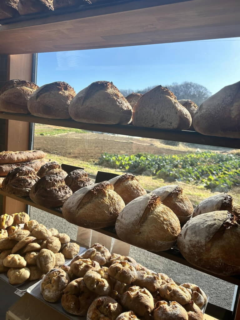 おいしそうなカンパーニュがならんでいます