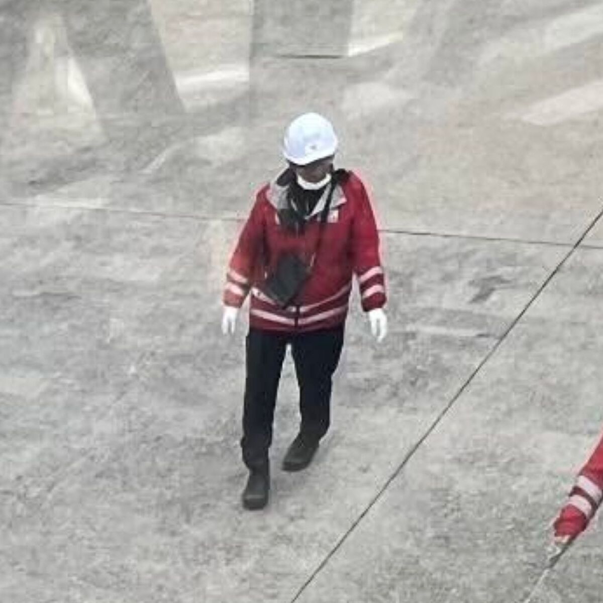 JAL機に搭乗しようと、窓の外を見たら……　「すごっ！」スタッフによる“まさかの光景”に「上手いな」「私もいつか出会いたい」（1/3） | 乗り物 ねとらぼ