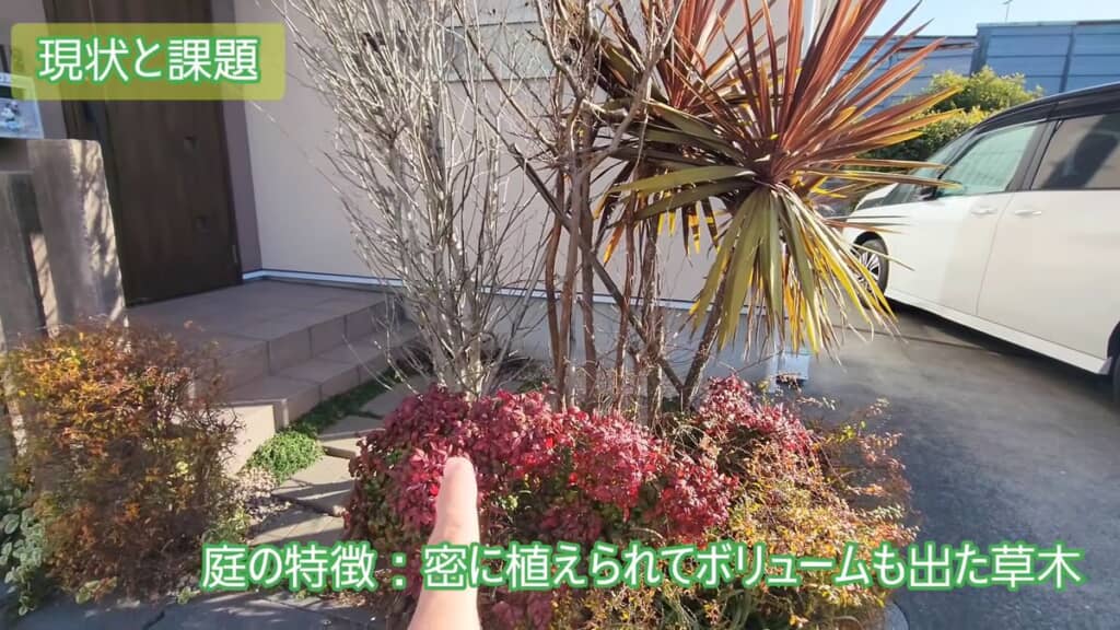 ヒメシャラやコルジリネ、オタフクナンテンなどが密集している玄関前