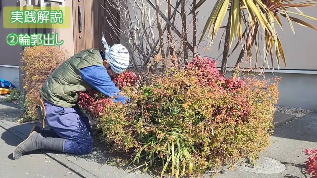 枝を切ってオタフクナンテンとユキノシタの間をハッキリさせる