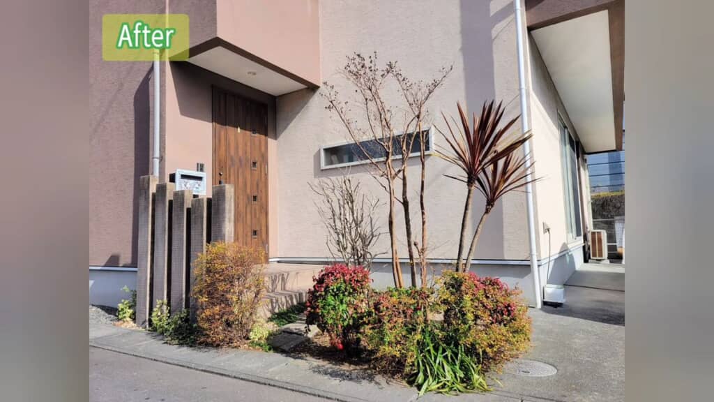 剪定後のスッキリした植栽