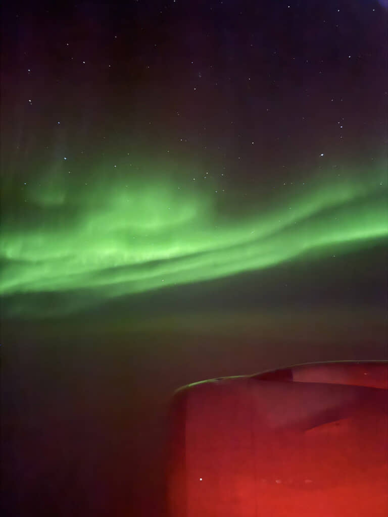 もやもやと動いているようです