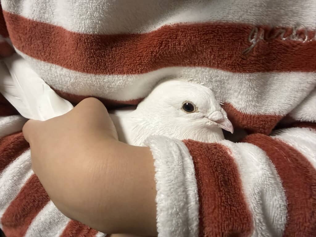 娘さんの腕の中で暖まる「ラン」ちゃん