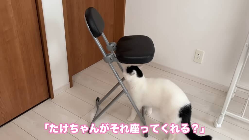 たけるくん用の椅子を持ってきましたが、お気に召さなかったもよう