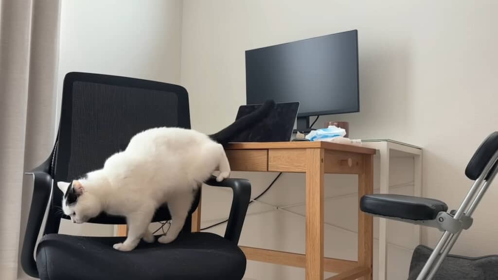 すぐに戻ってしまいます