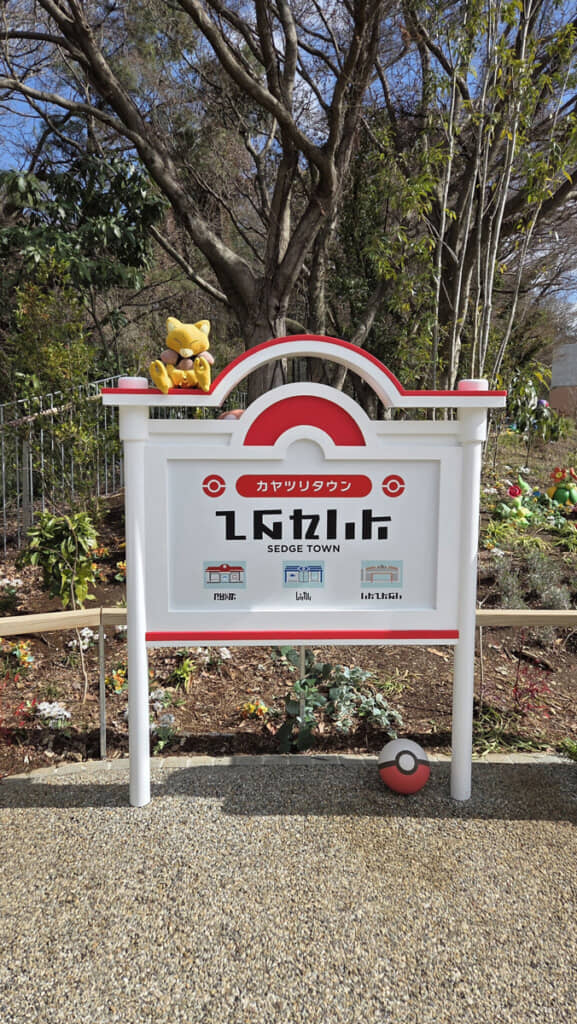 ポケモンの世界に没入できる細やかな演出