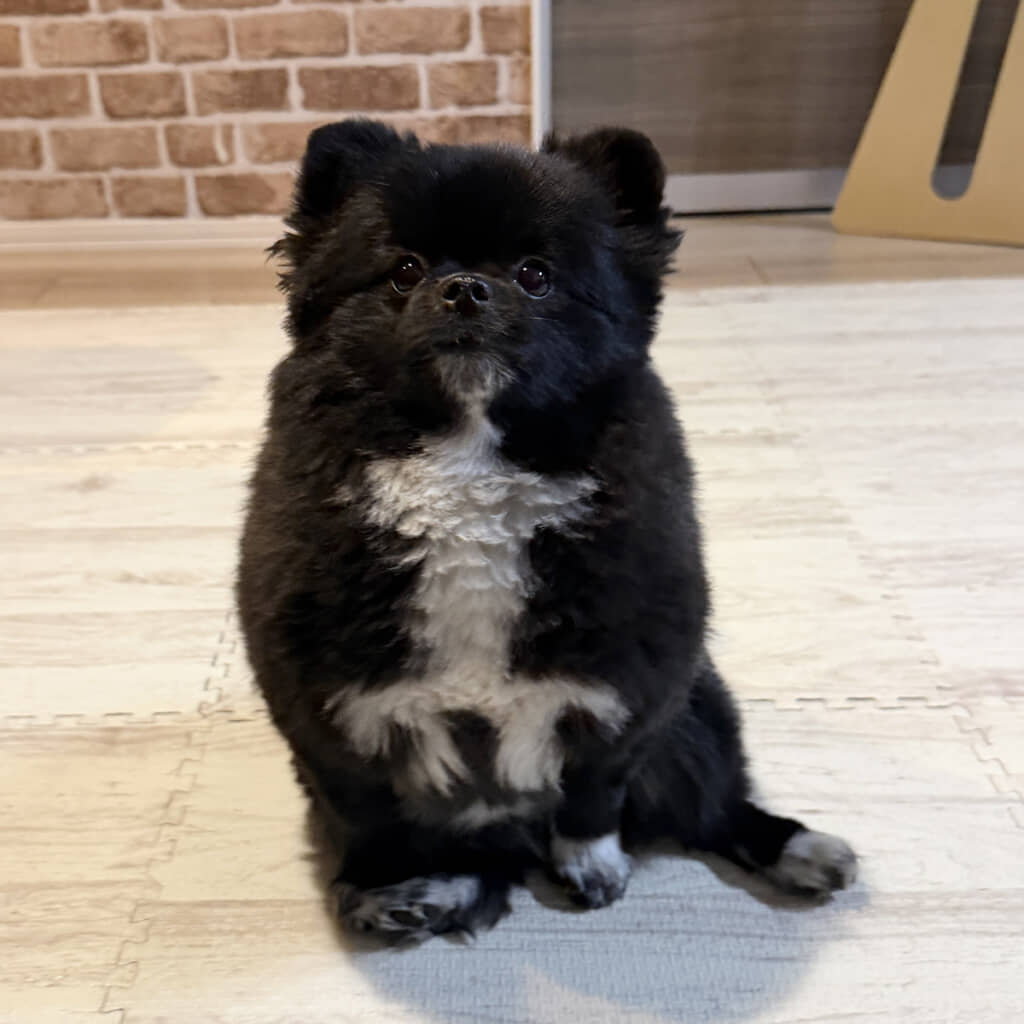 確かに似てる……！