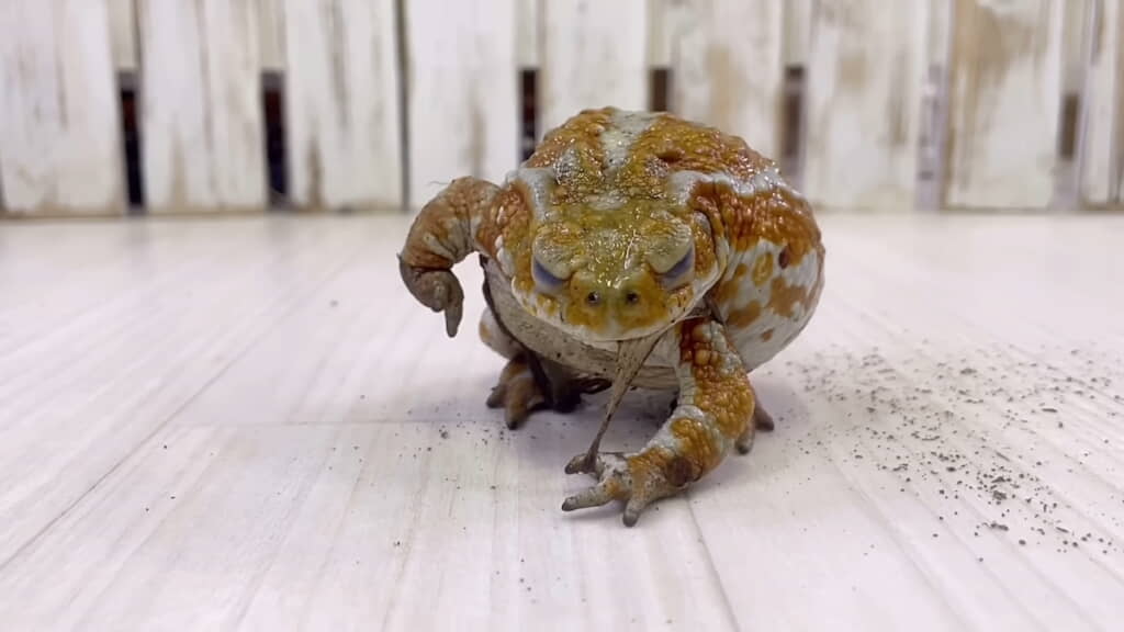 手の皮がなかなか取れない