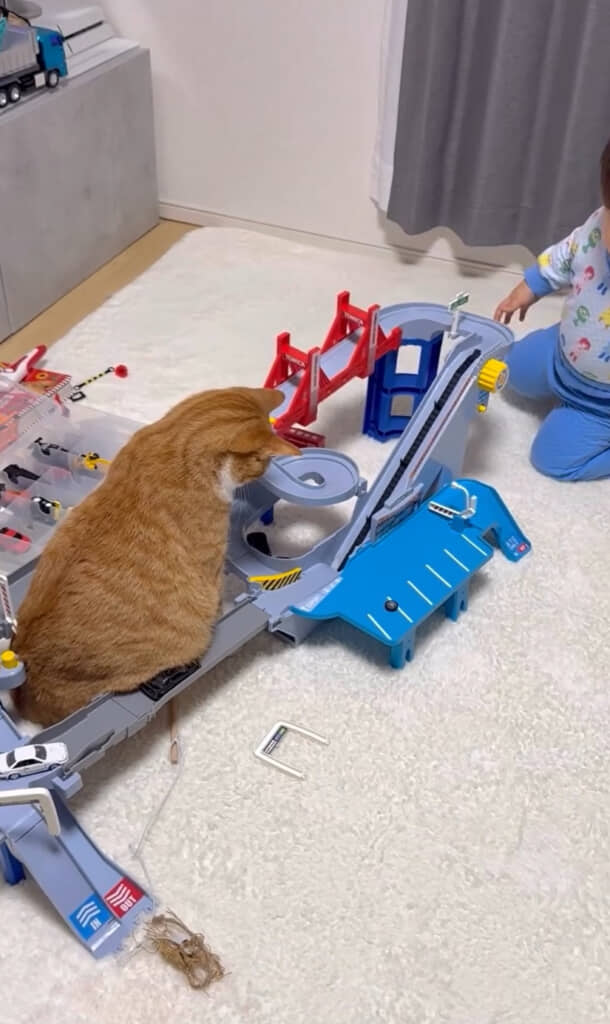 ナギくんのおなかで渋滞が発生……！