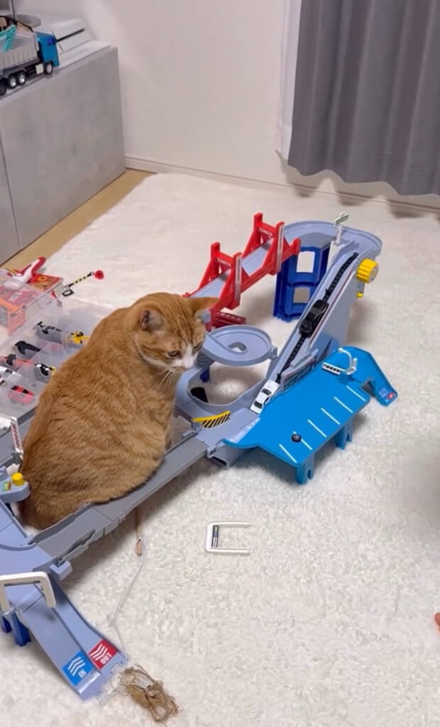 車が動き出しました！