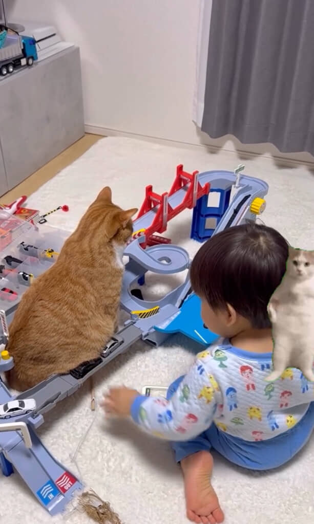 また渋滞しちゃった……！