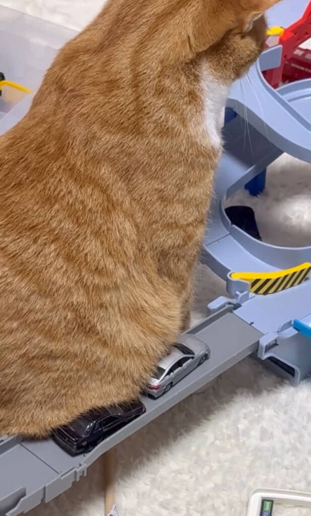 もちもちに埋もれる車