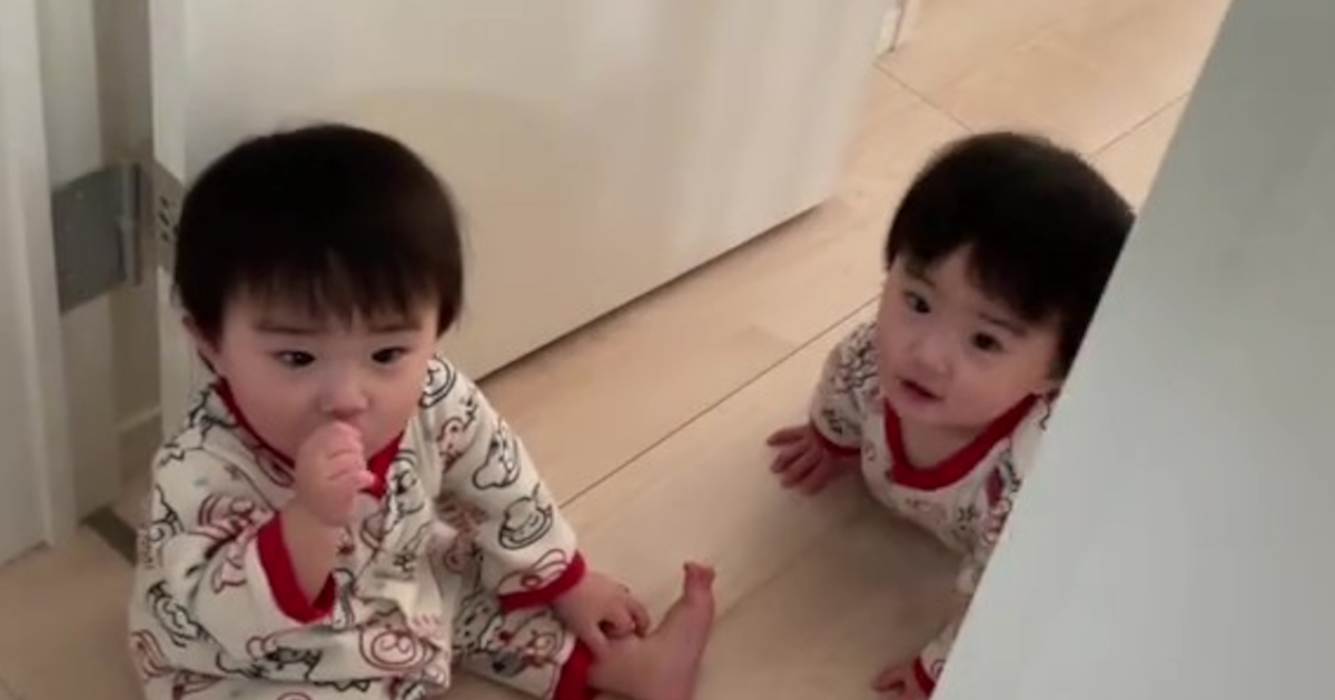 洗面所にやってきた1歳の双子兄弟→ママが掃除機をかけると……　驚きの光景に「一生見てられる」「AIでもこんな動き出せんよ」と780万再生（1/3） | 育児 ねとらぼ