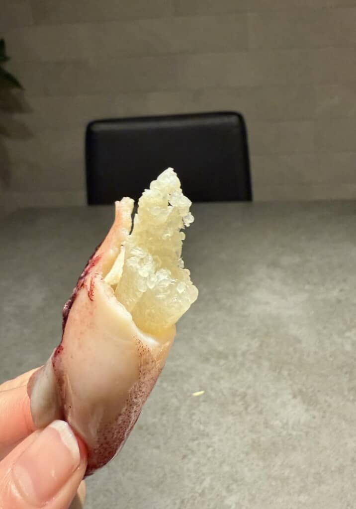 ヤリイカの体内にあった卵