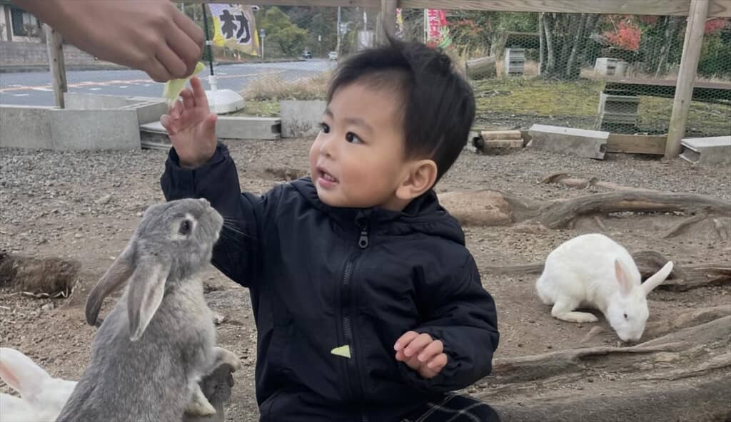 2歳児がうさぎのふれあい広場で遊ぶまさかの光景