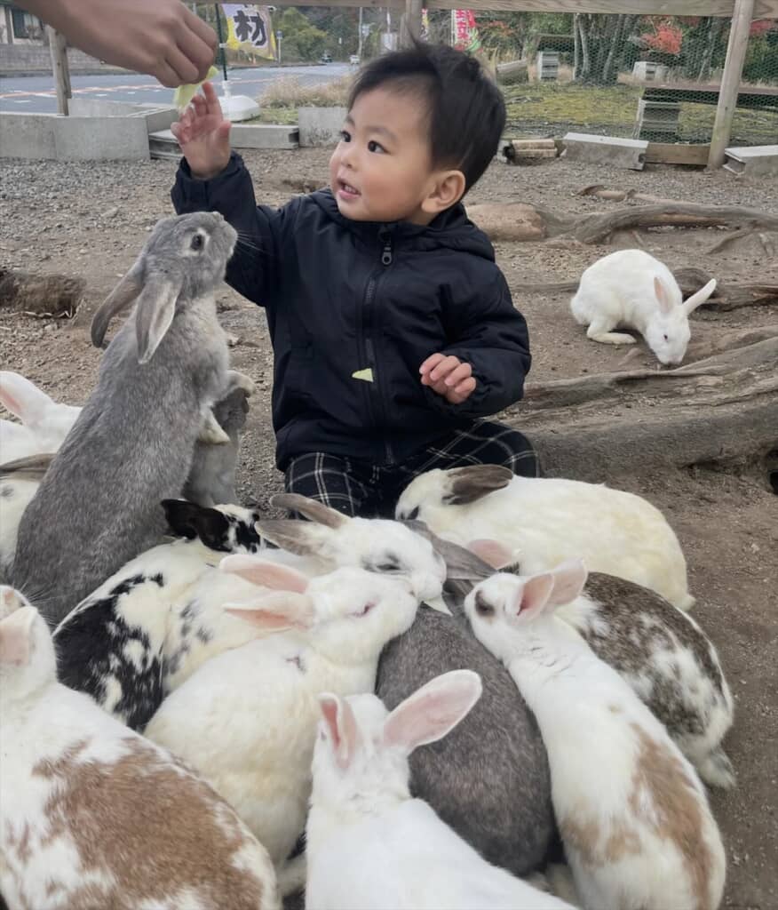 2歳児がうさぎのふれあい広場で遊ぶまさかの光景