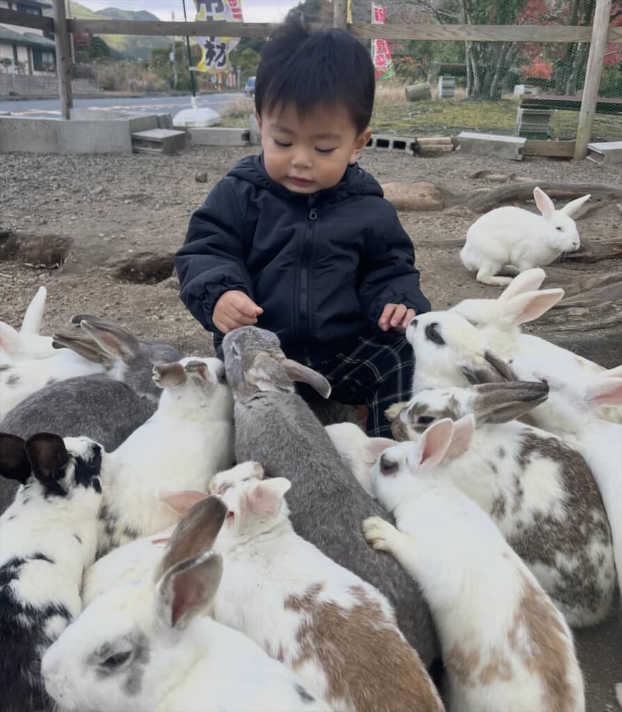 2歳児がうさぎのふれあい広場で遊ぶまさかの光景