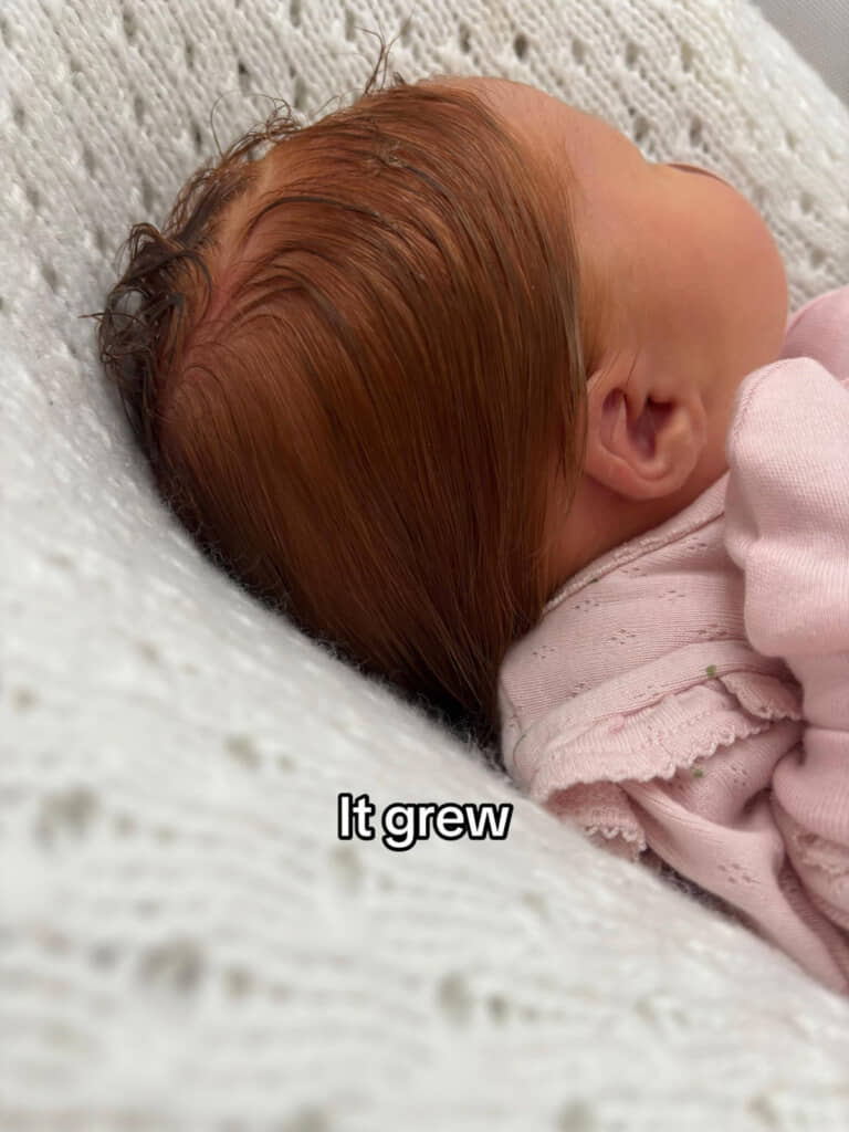 どんどん伸びていき……