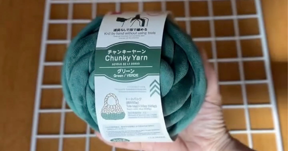 「とっても可愛い」　ダイソーの極太糸をワイヤーネットにぐるぐるしていくと……　「かわいすぎ」（1/3） | ハンドメイド ねとらぼ