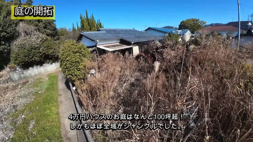 100坪超の庭はほぼジャングル状態