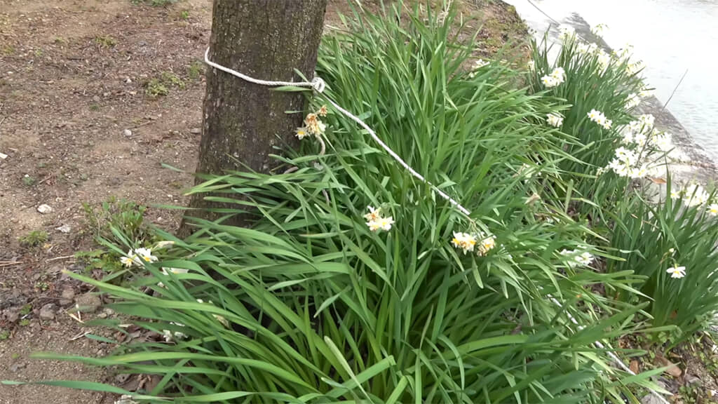 白いロープの先には……