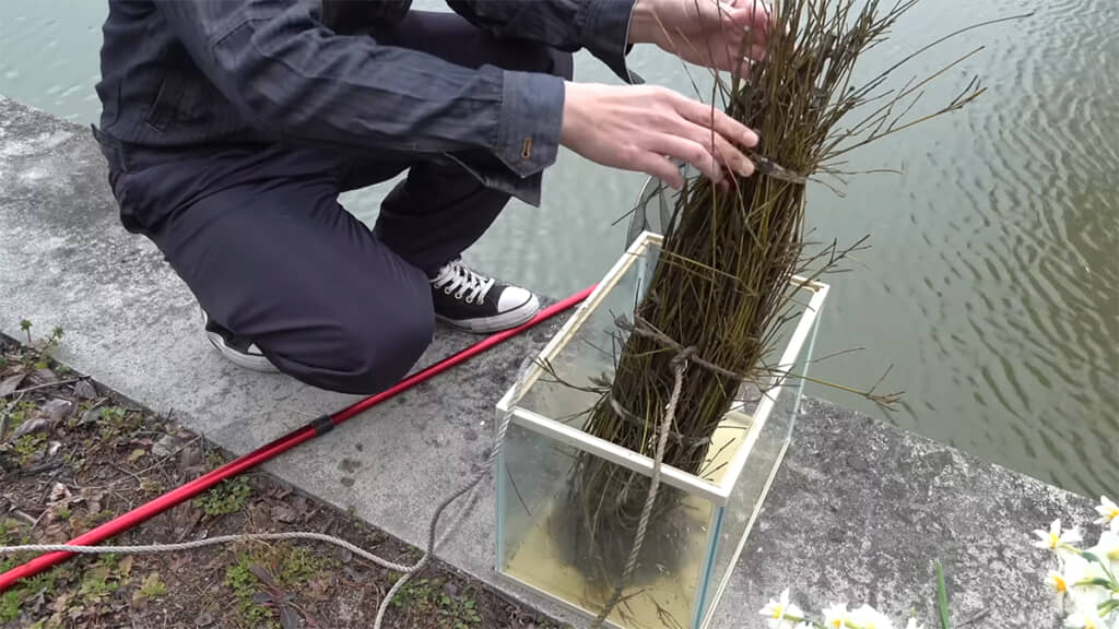 庭の竹を束ねて作った罠を仕掛けてあります