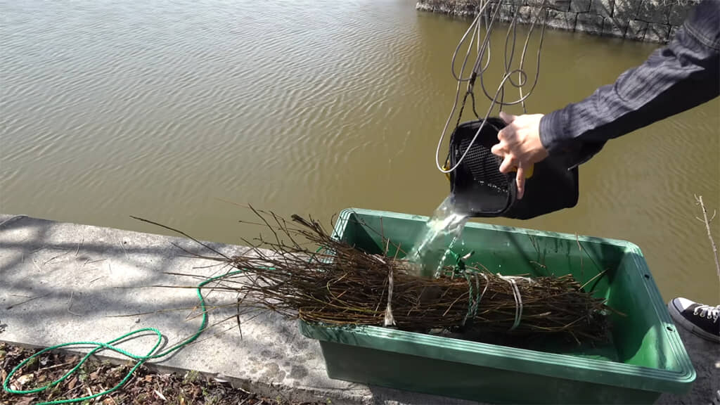 罠に水路の水をかけてみることに