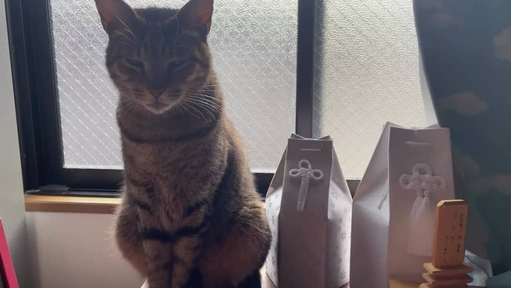 骨壺の横からなかなか離れようとしない