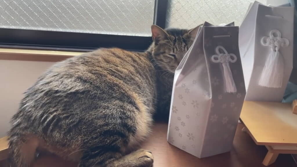 くつろぐときも骨壺のそば