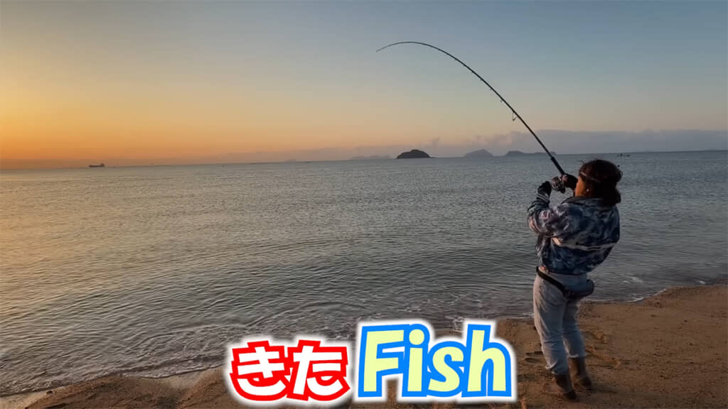 ヒットしましたが……