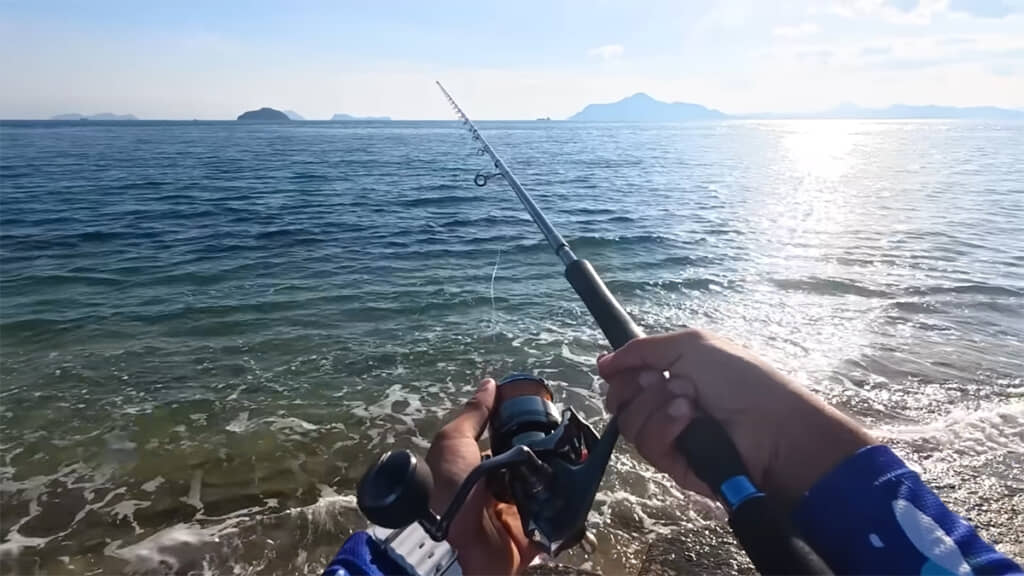 狙いの青物は釣れるでしょうか