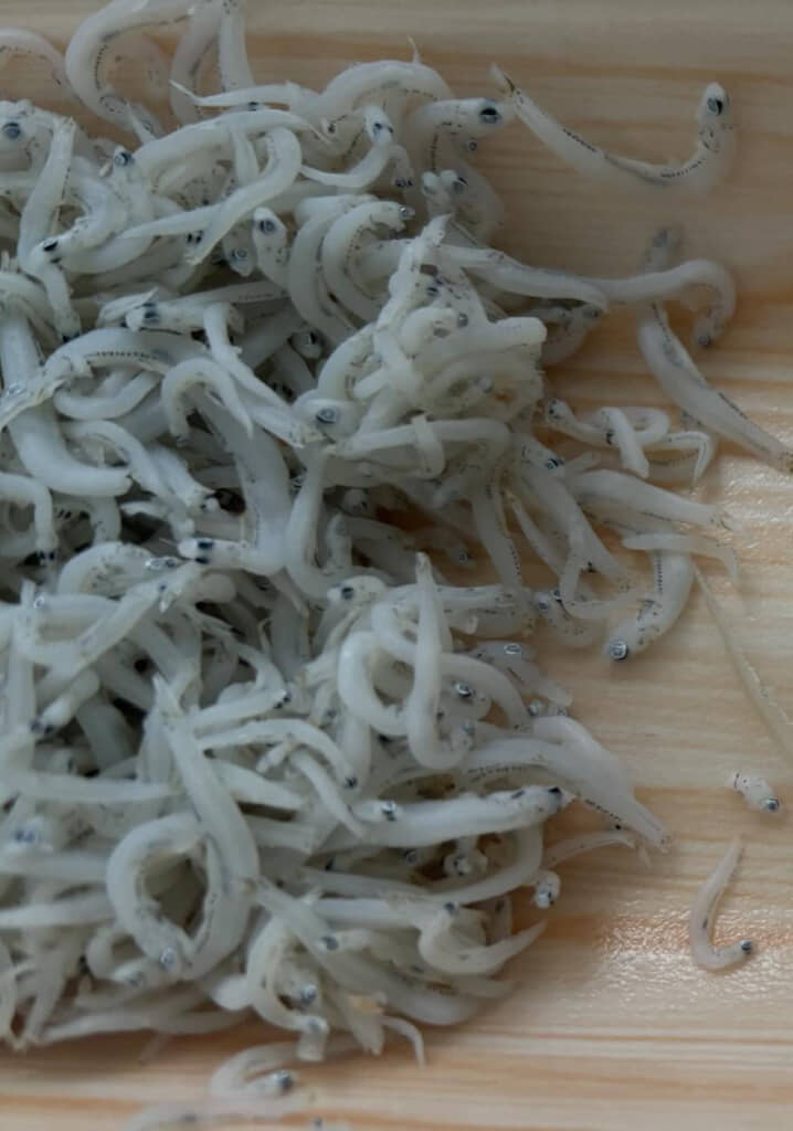 パックのしらすに混じっていたのは……