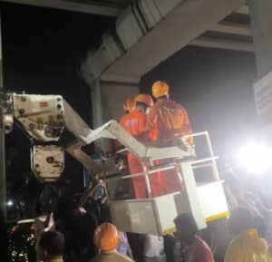 高さ15メートルの支柱から身動きできなくなった野良猫の救助