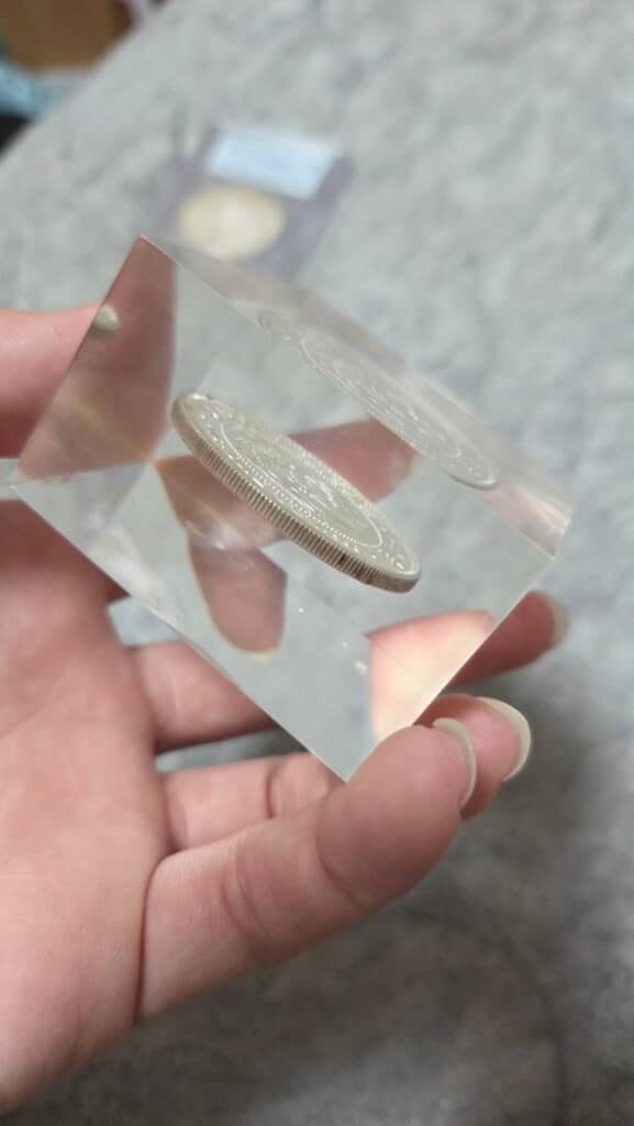 樹脂で固められている