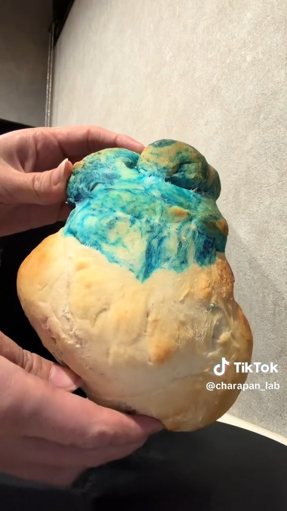 耳になるはずだった部位が大動脈と大静脈っぽくて……