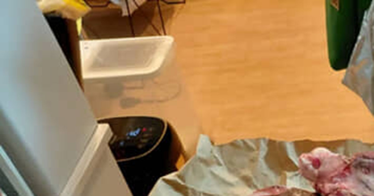 知り合いの猟師「鹿肉いりますかー？」→欲しいと言ったら……　衝撃の光景に「想像の20倍」「びっくりするんだがww」（1/2） | グルメ ねとらぼ