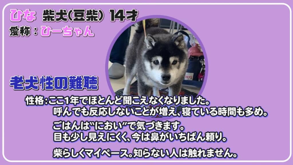 13歳のころからまったく耳が聞こえなくなりました