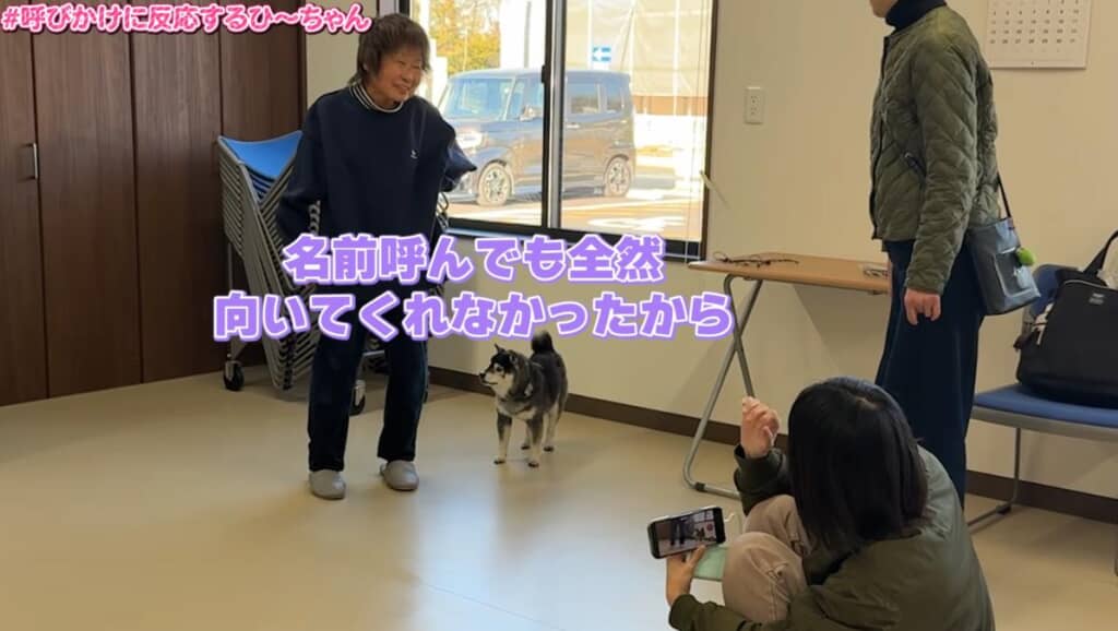 飼い主さんも大喜び