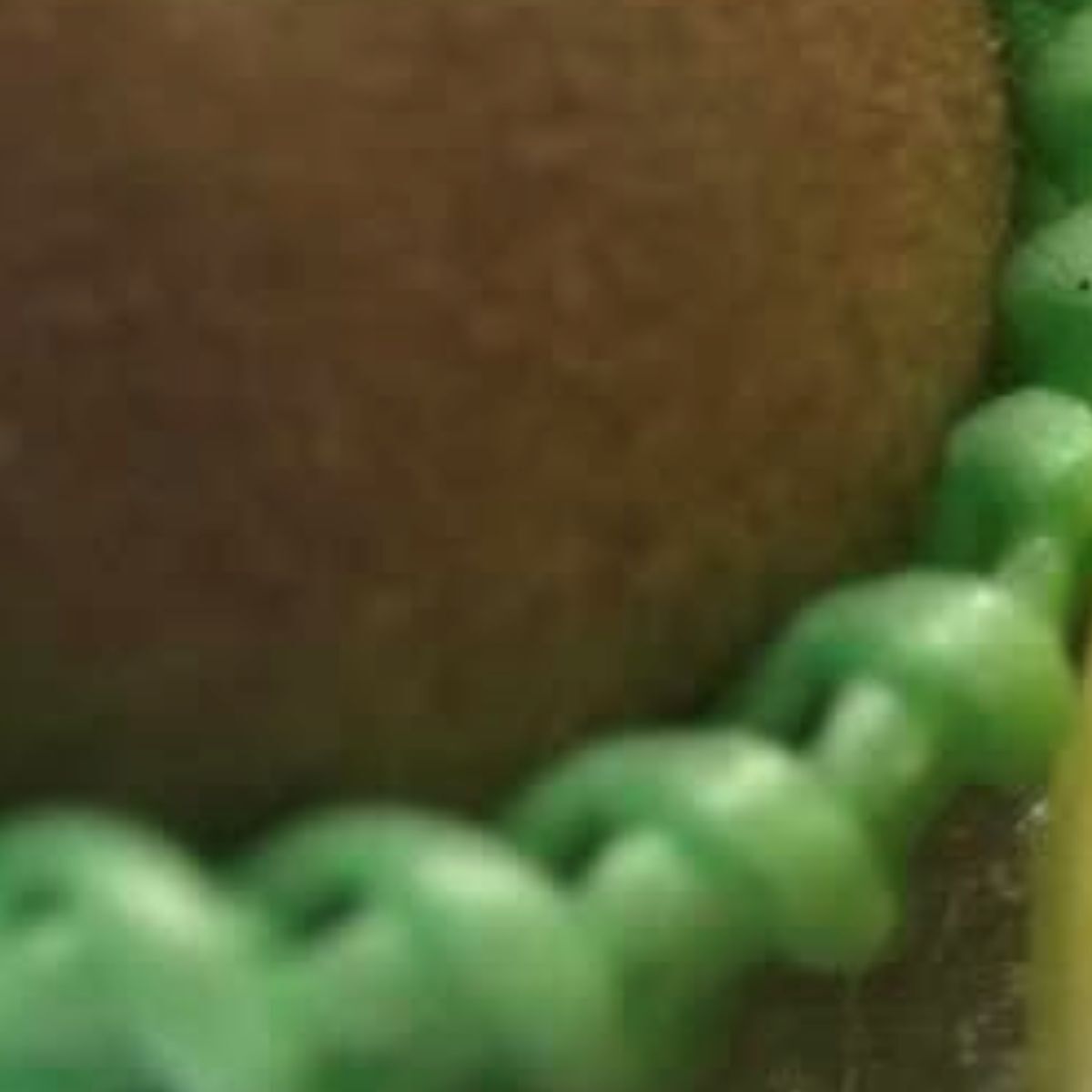 体調不良の妻「フルーツ食べたい」→夫が買ってきたものは…… まさかの購入品に「大笑い」「いくらしたんだよ!!」 | ライフスタイル ねとらぼ