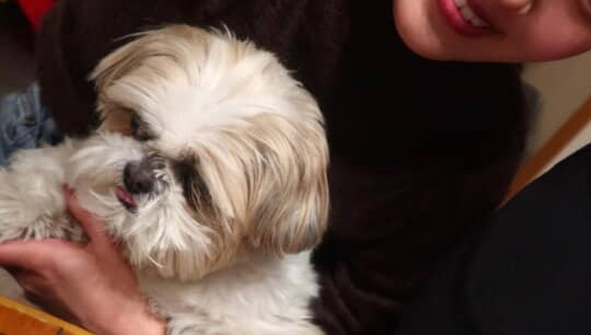 22歳女性「綾瀬はるかに似てると言われます」→まさかの姿に「めっちゃ似ててビックリ!!」「本物かと思った」（1/3） | ライフスタイル ねとらぼ