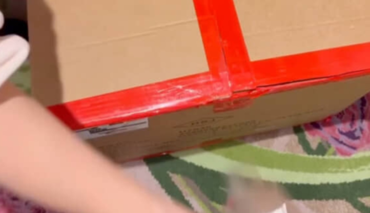 ディズニーのお店で巨大段ボールをお持ち帰り→ルンルンで開封すると……　驚きの中身に「うらやまし～い」「いいなぁ、私も欲しいなぁ！」（1/3） | ライフスタイル ねとらぼ