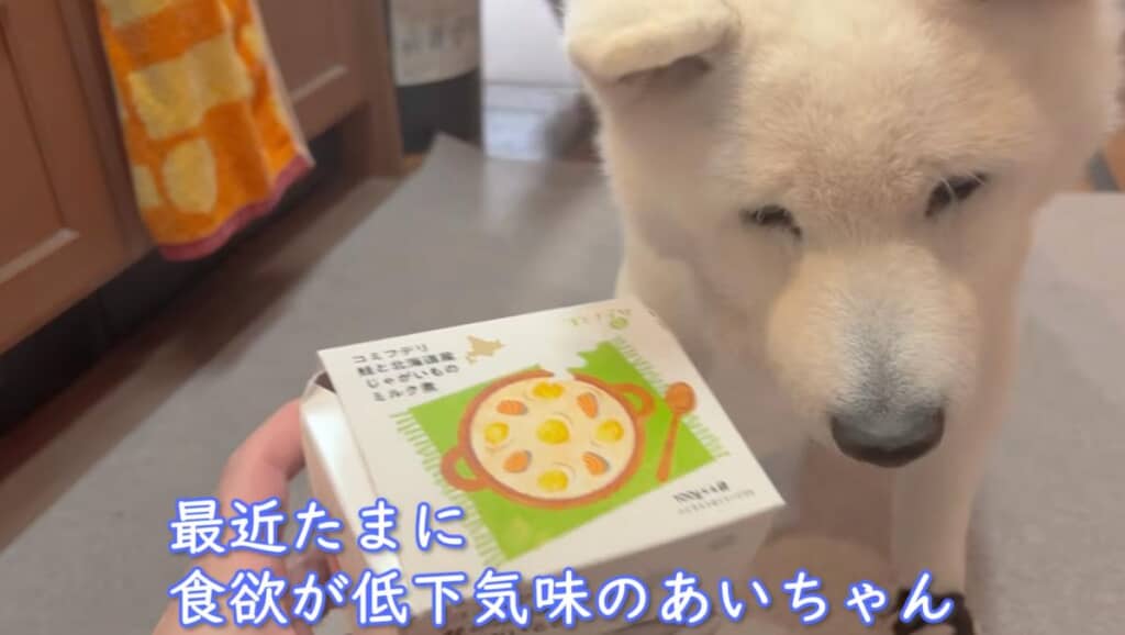 おいしいごはんで食欲を取り戻します