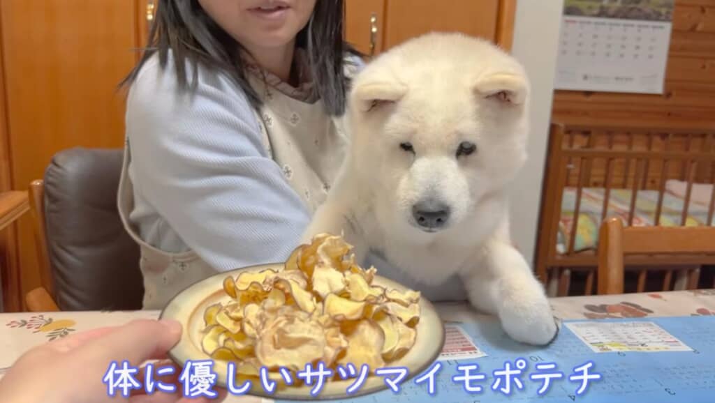 体に優しいお芋チップスが完成！