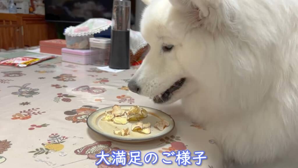 アイスちゃんも大満足！