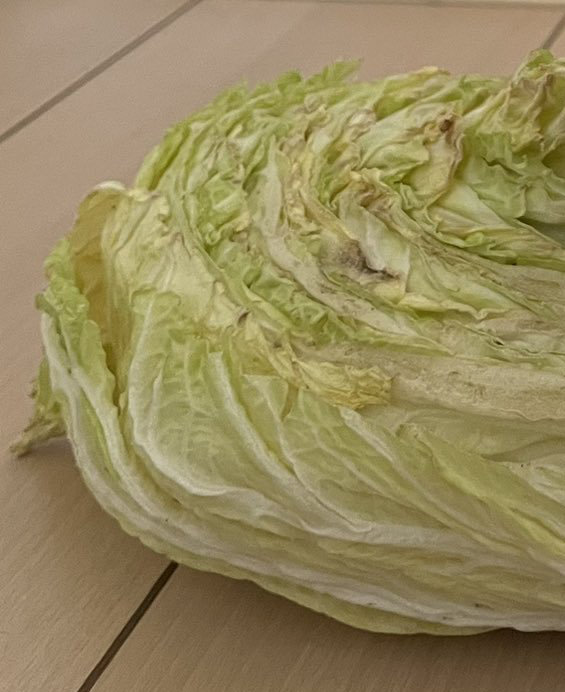 白菜の外側は傷んだ様子ですが……
