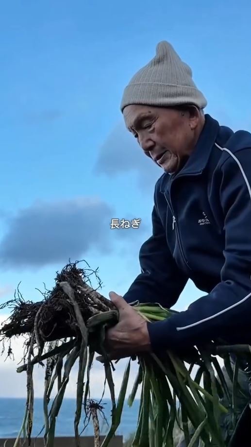 畑で野菜を収穫する黒﨑さん